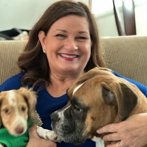 Meet your Posher, Posh